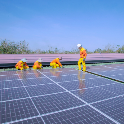 Xu Hướng Tiêu Thụ Chè Khô Tăng Cao Trong Bối Cảnh Sức Khỏe Được Ưu Tiên