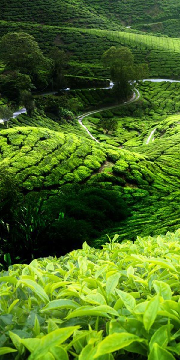 Xử lý chất thải